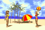 logoriminiweb.gif (40070 bytes)
